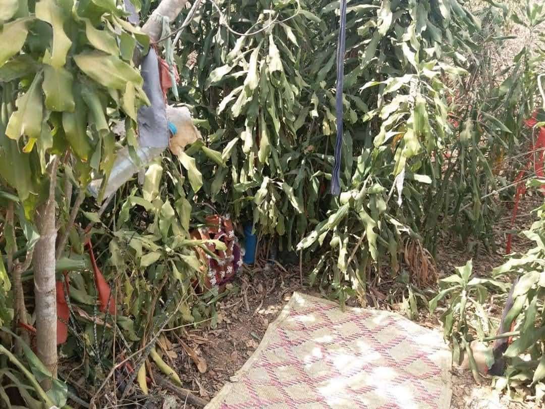 Herbal preparation tools used during consultations